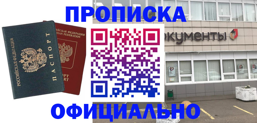 прописка поиск в Ногинске